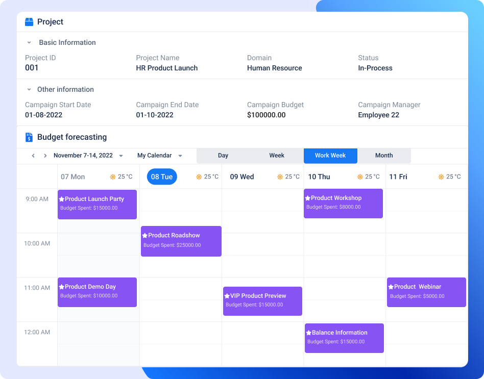 calendar marketing budget management